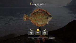 NORWEGIAN SEA ACTIVE BOTTOM SPOT TROPHY EUROPEAN PLAICE 5.082kg RussianFishing4 RF4