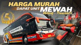 TARIF HANYA 210.000 BISA NAIK BUS DENGAN PELAYANAN WAHHH‼️Trip Malang - Magelang with Rosalia Indah