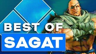 The Best of Sagat at Evo