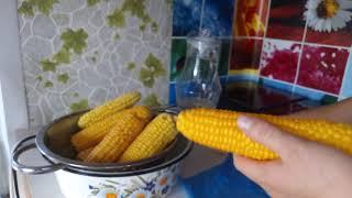 правильная заморозка кукурузы