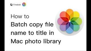 How to Batch Copy File Name to Title in Photo Library?