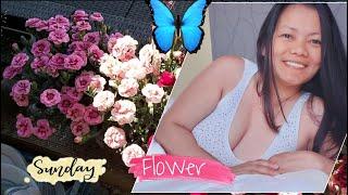 MY FLOWER IN THE MORNING|MORNING ROUTINE|NIKKY'S OFFICIAL