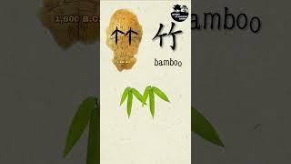 "Bamboo", story of Chinese characters.