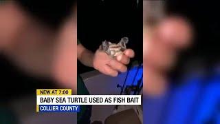 Teen facing charges for using sea turtle hatchling as fishing bait