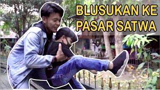 DODDY MICRO || BLUSUKAN KE PASAR SATWA PASTY