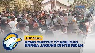 Demo Tuntut Stabilitas Harga Jagung di NTB Ricuh