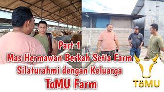 Part 1‼️Mas Hermawan Berkah Setia Farm‼️Silaturahmi dengan Keluarga ToMU Farm‼️