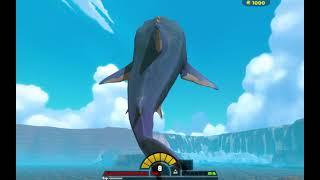 megalodon in feed and grow fish