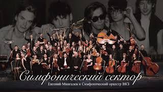 CИМФОНИЧЕСКИЙ СЕКТОР - 30 ЛЕТ