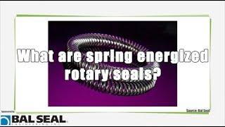 What are spring energized rotary seals?