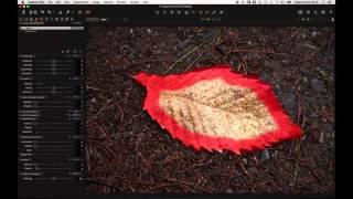 Capture One Pro 8 Webinar | Mastering Local Adjustments