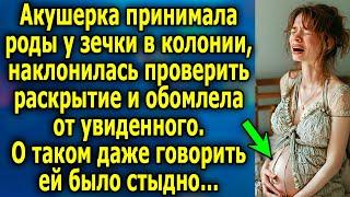 Акушерка принимала роды у зечки в колонии, наклонилась проверить и обомлела от увиденного…