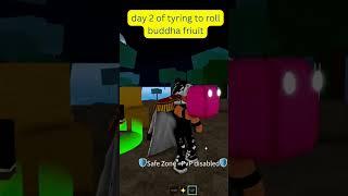 Day 2 rolling a fruit in blox fruit  #roblox #shortsfeed #bloxfruits #bloxfruitsroblox