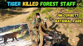 Tiger Attaked And Killed Forest Staff - Jim Corbett National Park