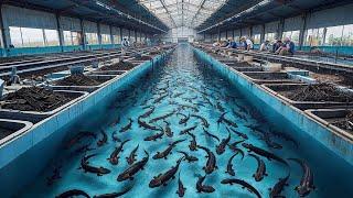 How Chinese Farmers Raise 2.6 Million Giant Salamanders Every Year