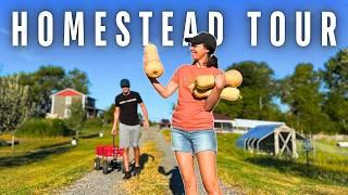 EVERYTHING on Our 5 1/2 Acre Homestead (+ harvesting the BIGGEST butternut squash ever)