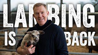 Everything You Want to Know About Lambing - Adam Henson's Farm Diaries