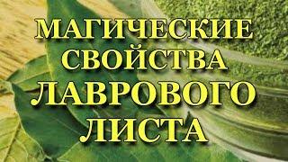 Лавровый Лист.Магические Свойства Лаврового Листа-Исполняет Желания,Приносит Удачу,Здоровье, Любовь!