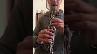 Bulgarian clarinet “хоро” ornaments practice