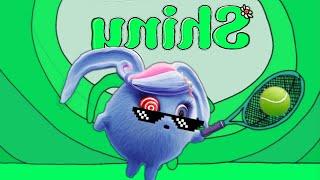 Sunny Bunnies Special Intro Effects : SHINY SPECIAL INTRO EFFECTS SING ALONG 2022 ( Must Watch )