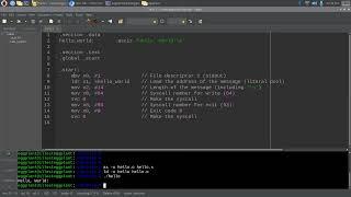 ARM64 Assembly on a Raspberry Pi 5