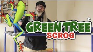 Best SCROG net ever!? Green Tree Scrog review w/ Chad Westport : @spiderfarmer #G8600