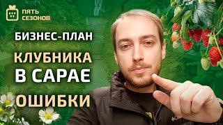 Бизнес-план по выращиванию клубники в сарае: что я сделал не так? // розыгрыш