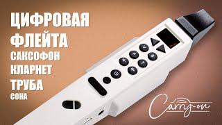 Цифровая флейта, труба, саксофон, кларнет... Carry-on Digital Wind Instrument