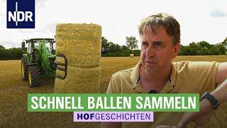 Furcht vor dem Regen: Strohballen schnell sichern | Hofgeschichten: Leben auf dem Land (296) | NDR