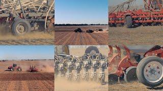 BCG seeder demo day | comparing crop establishment