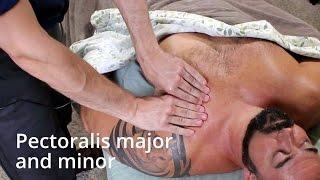 How to massage pectoralis major and minor (the pecs)