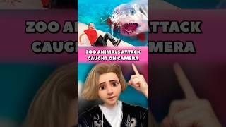 ZOO ANIMALS ATTACK  #zoo