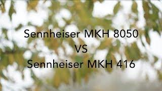 Sennheiser MKH 416 VS Sennheiser MKH 8050