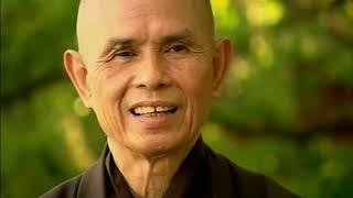 Thich Nhat Hanh on Nirvana 2004 EngStFr