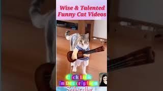 BEST FUNNY CAT VIDEOS 2021l Wise & Talented Cats l Will Make You Laugh l TRY NOT TO LAUGH! #shorts