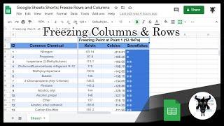 Google Sheets Beginners   Freeze Rows and Columns (11)