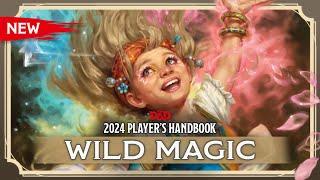 Sorcerer: Wild Magic | 2024 Player's Handbook | D&D