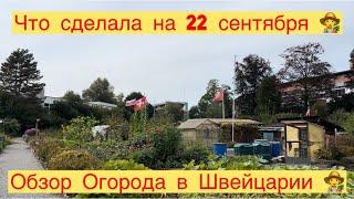 ОБЗОР ОГОРОДА В ШВЕЙЦАРИИ ‍ЧТО СДЕЛАЛА НА 22 сентября ‍