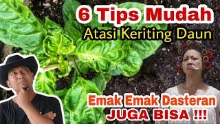 6 Trik Atasi Keriting & Kerdil, Emak pun Bisa 