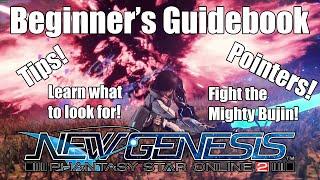 Beginner's Guide to Phantasy Star New Genesis