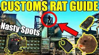 The Ultimate Customs Rat Spot Guide  || Escape From Tarkov (extract camping/Ratting tutorial)