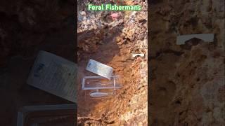 Cleaning behind Feral Fisherman's #fishing #cleaning #rubbishremoval #beachcleanup #nature #lure