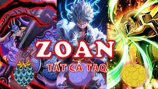 Giải thích tất cả TAQ hệ Zoan | 46+ trái ác quỷ zoan