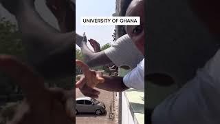 Lady who presented her valentine gift to her boyfriend at the University of Ghana, Legon