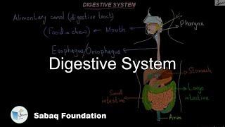 Digestive System, General Science Lecture | Sabaq.pk