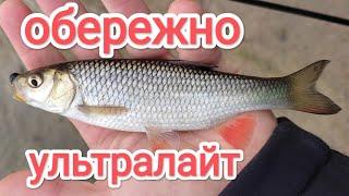 ЯК піймати БАГАТО риби на спінінг ловля риби на ультралайт весною 2023