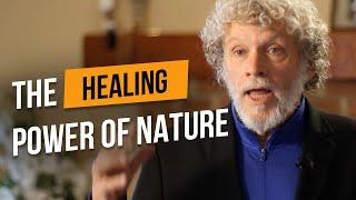 The Healing Power of Nature