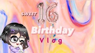 Birthday Vlog! || HeyitsMax
