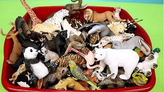 Wild Animal Figurines - Learn Animal Names