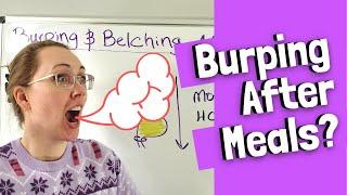 Burping and Belching After Meals